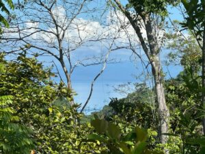 Land for Sale in Pavones Costa Rica