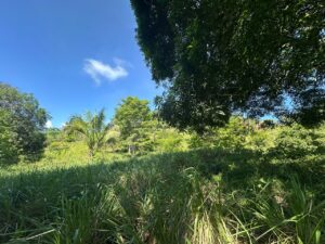 Land for Sale in Pavones Costa Rica