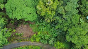 Land for Sale in Pavones drone caption