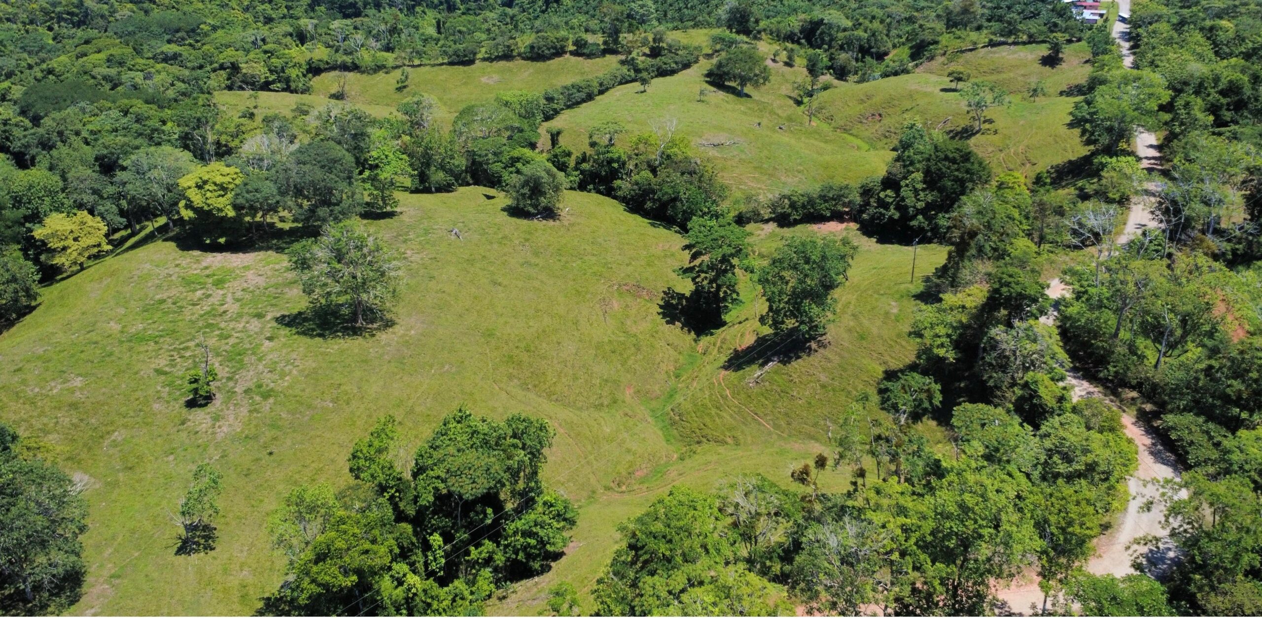 Ocean View Farm for Sale in Pavones