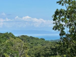 Ocean View Farm for Sale in Pavones