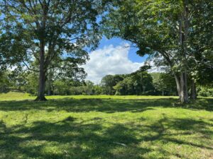 Ocean View Farm for Sale in Pavones