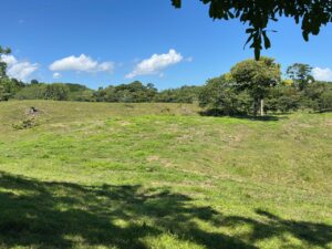 Ocean View Farm for Sale in Pavones