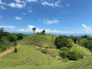 Ocean View Property for Sale in Pavones