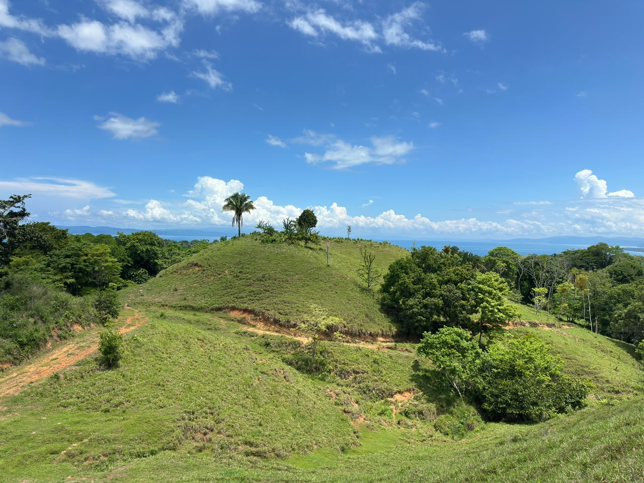 Ocean View Property for Sale in Pavones