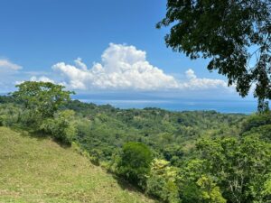 Ocean View Property for Sale in Pavones