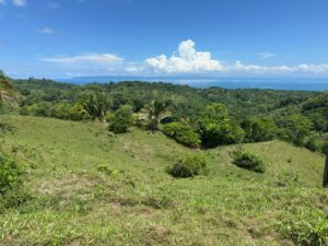 Ocean View Property for Sale in Pavones