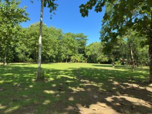 Surf Property for Sale in Pavones