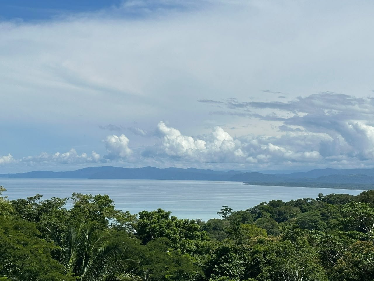 Pavones Best Ocean View