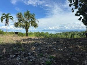 Pavones Best Ocean View gorgeous lot