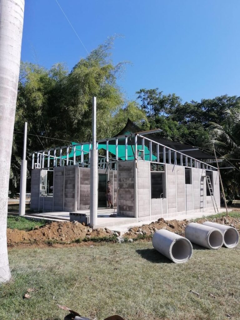 Construction Services house in process