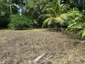 Titled Land for Sale in Cocal Amarillo Pavones