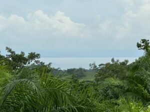 Ocean View Land in Cuervito Pavones