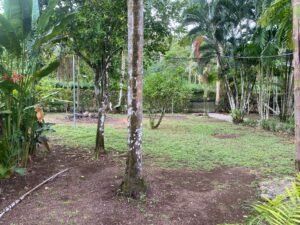 Flat Land with Studio House for Sale